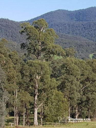 64-72 Staggs Creek Road, Combienbar