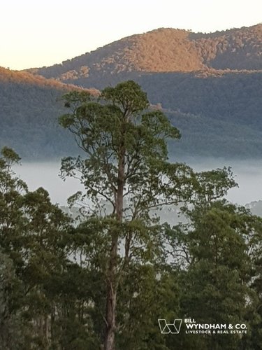 64-72 Staggs Creek Road, Combienbar