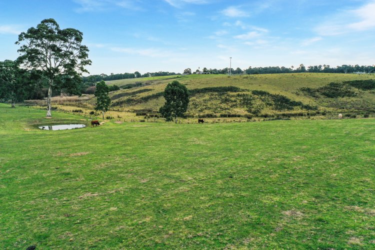 65 Nicholson-Sarsfield Road, Nicholson