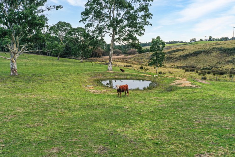 65 Nicholson-Sarsfield Road, Nicholson