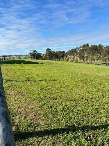 65 Wakefield Terrace, Bairnsdale