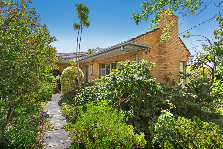 66 Almond Street Balwyn North 3104