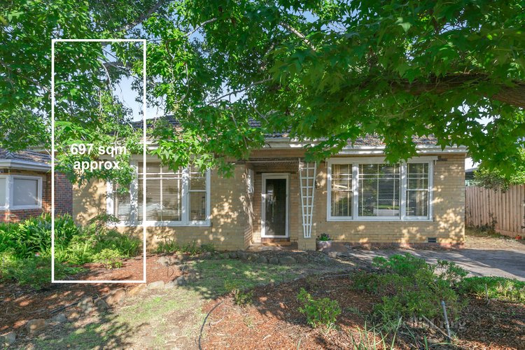 67 Draper Street Ormond 3204