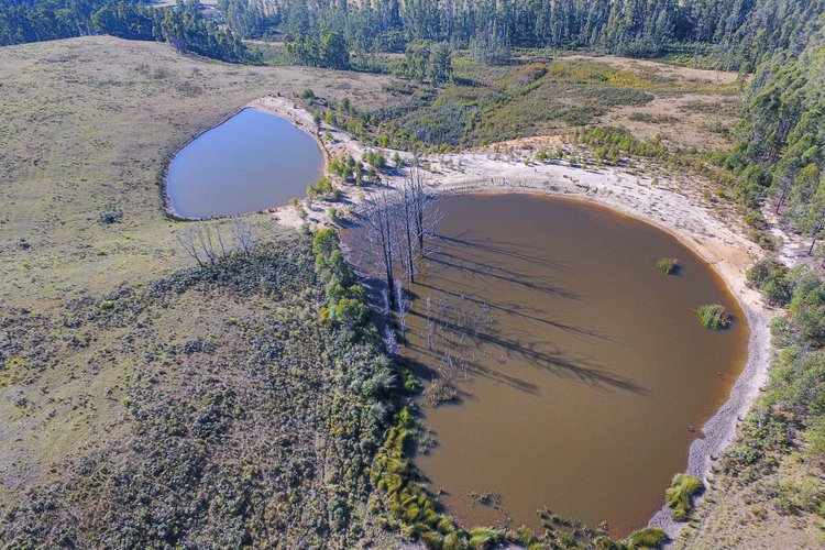 69 Whittinghams Access Road, Club&nbsp;Terrace