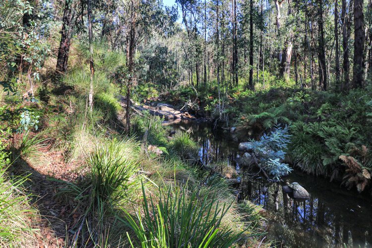 69 Whittinghams Access Road, Club&nbsp;Terrace