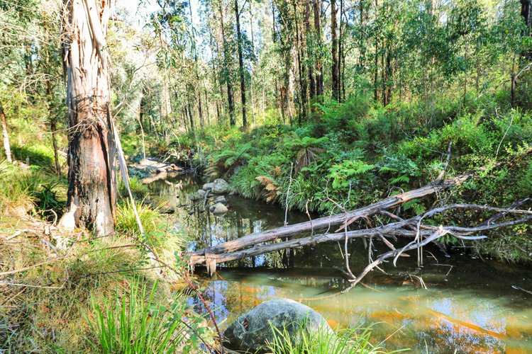 69 Whittinghams Access Road, Club&nbsp;Terrace