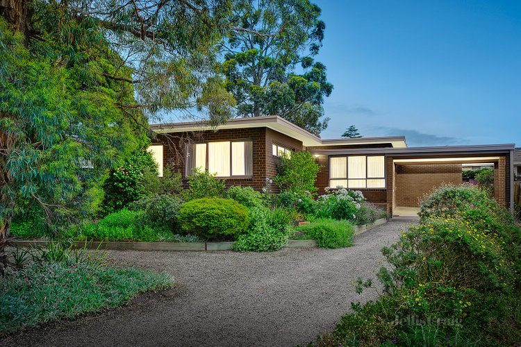 7 Blue Hills Avenue Mount Waverley 3149