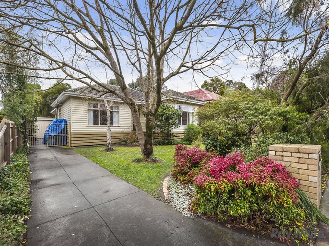 7 Halsey Street Box Hill South 3128