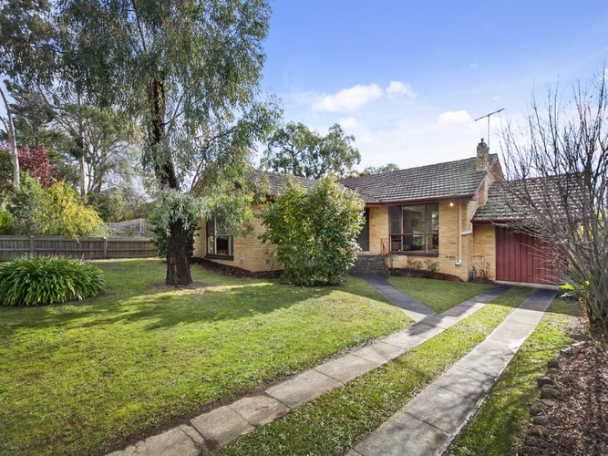 7 Loma Street Ringwood East 3135