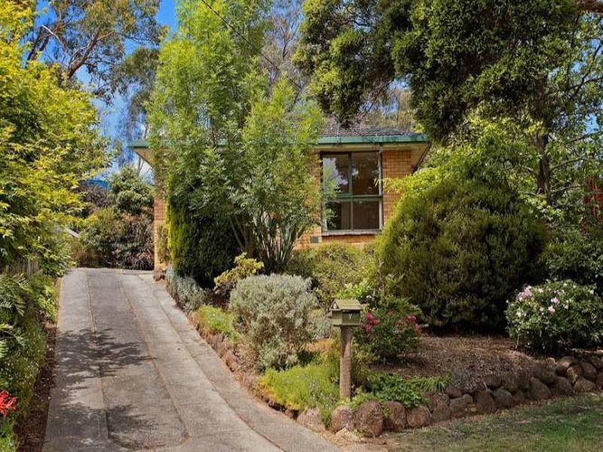 7 Prospect Court Ringwood 3134