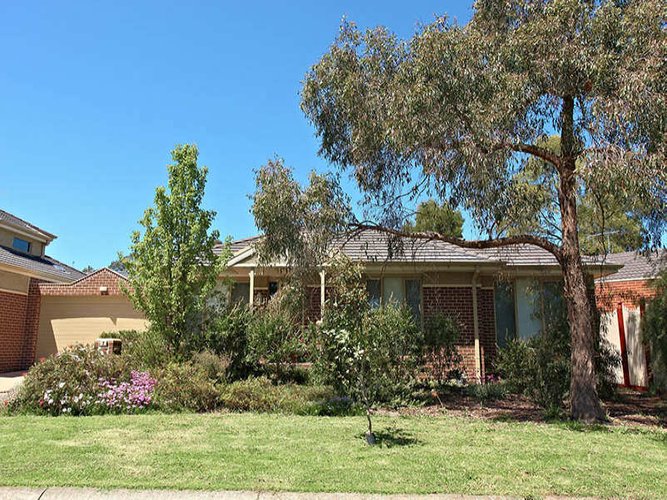 7 Samuel Street Ringwood 3134