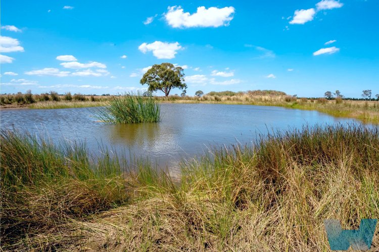 720 Bengworden Road, Goon&nbsp;Nure