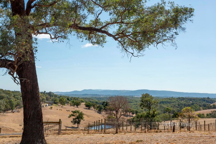 75 Rob Roy Road Smiths Gully 3760