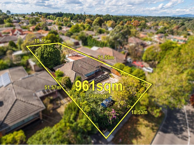 77 Albion Road Box Hill 3128