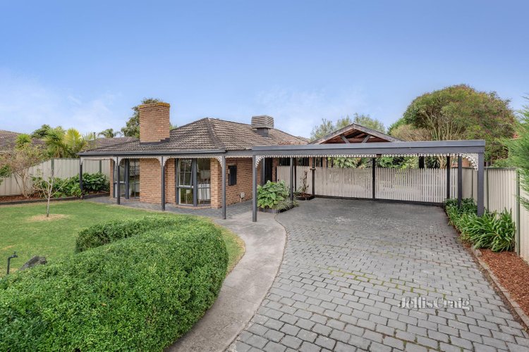 77 Dandelion Drive Rowville 3178