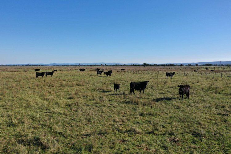 775 Ives Road, Hillside