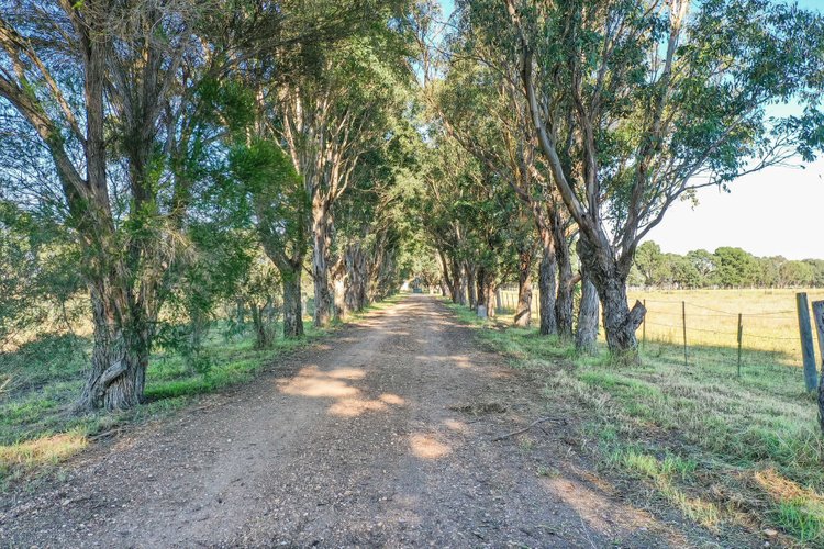 775 Ives Road, Hillside