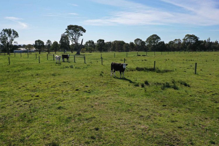 78 Centre Goon Nure Road, Forge&nbsp;Creek