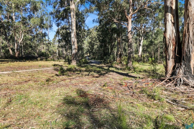 8 Adams Street, Cann&nbsp;River