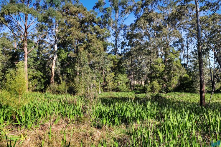 8 Adams Street, Cann&nbsp;River