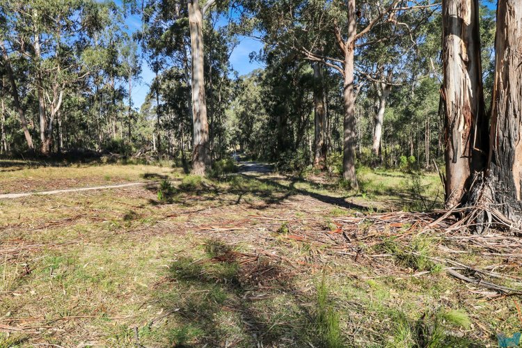 8 Adams Street, Cann River