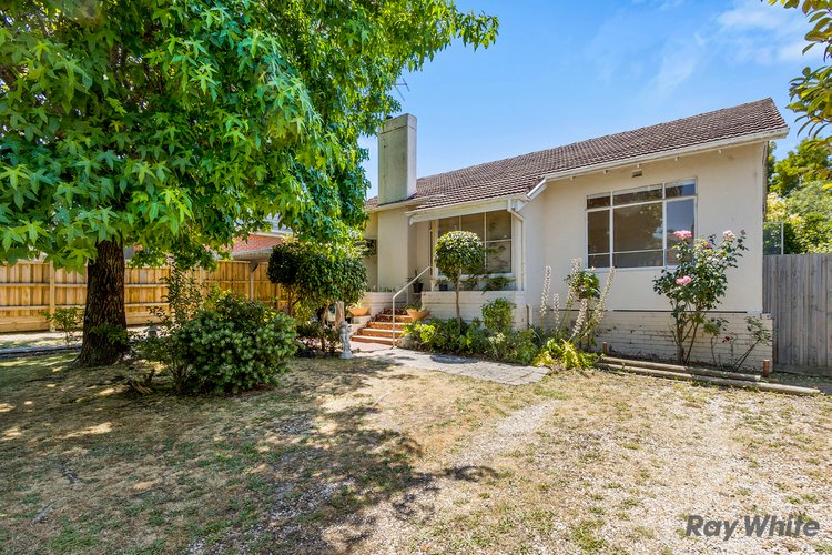 8 Cyril Street Box Hill South 3128