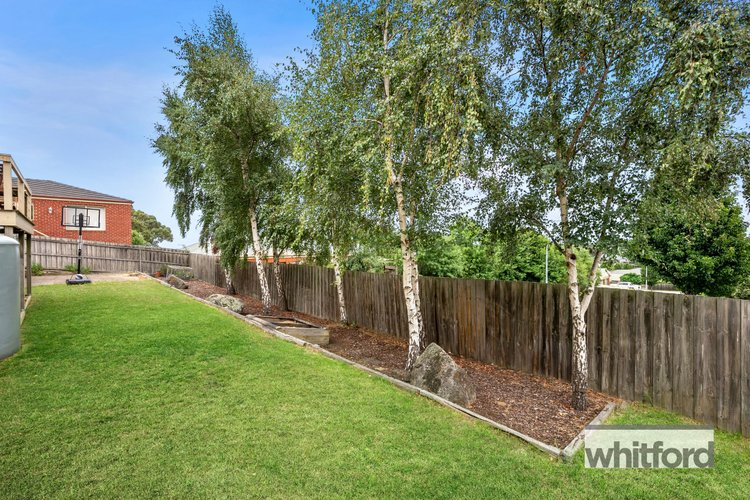 8 Kirami Court, Wandana Heights