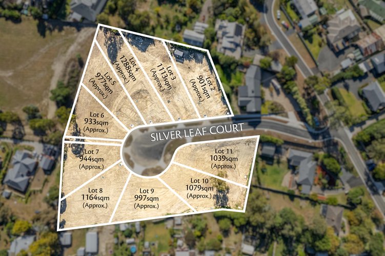 8 Silver Leaf Court Seville 3139