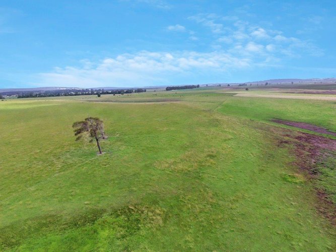 842 Princes Highway, Orbost