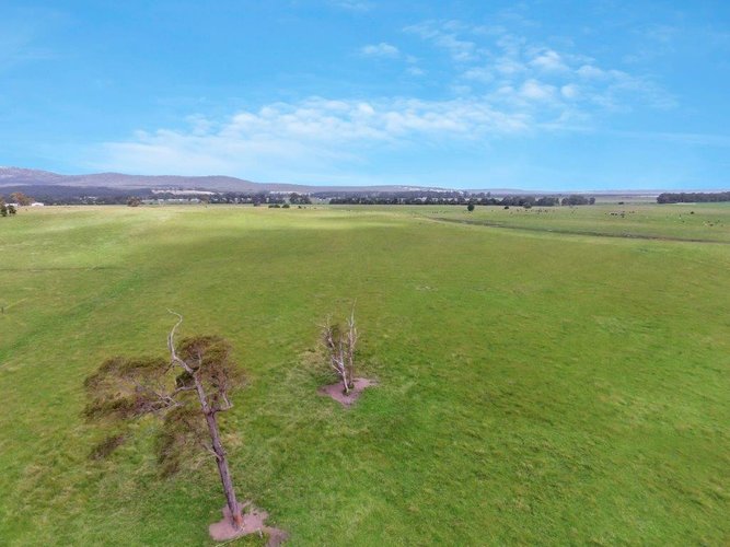 842 Princes Highway, Orbost