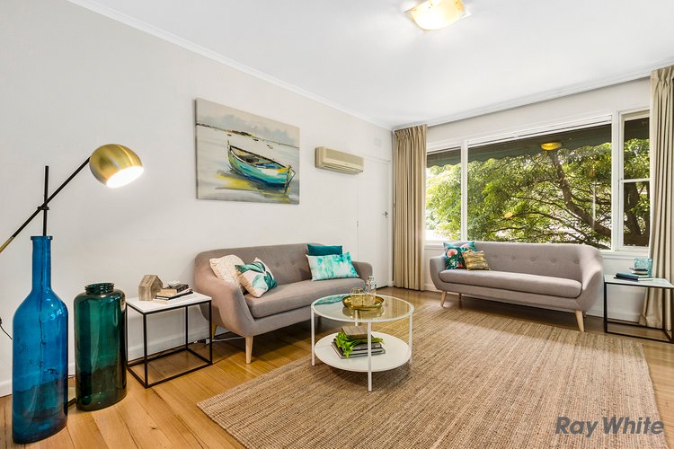 8 483 Whitehorse Road Balwyn 3103