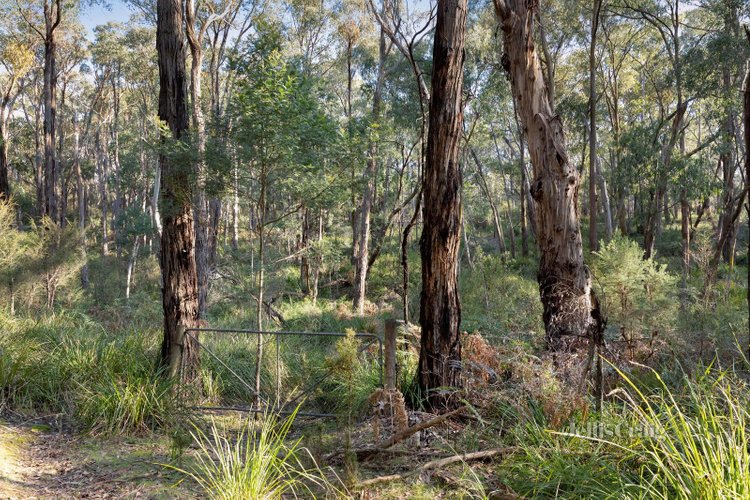 856 Buttermans Track Christmas Hills 3775