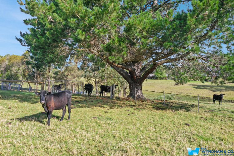 9 Paterson Court, Nicholson