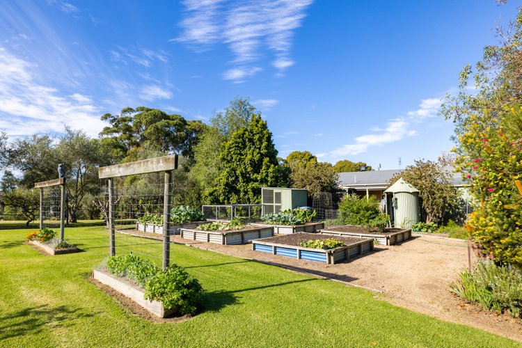 9 Punt Road, Johnsonville