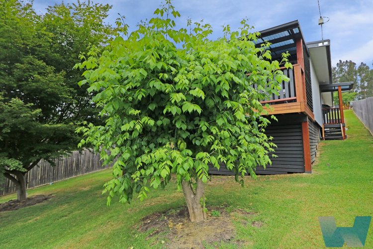 9 School Road, Club&nbsp;Terrace