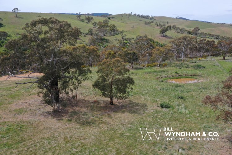 93 Bilton Street, Omeo