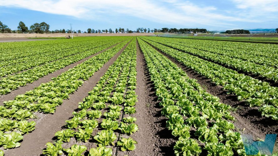 950 Bairnsdale - Dargo Road, Hillside