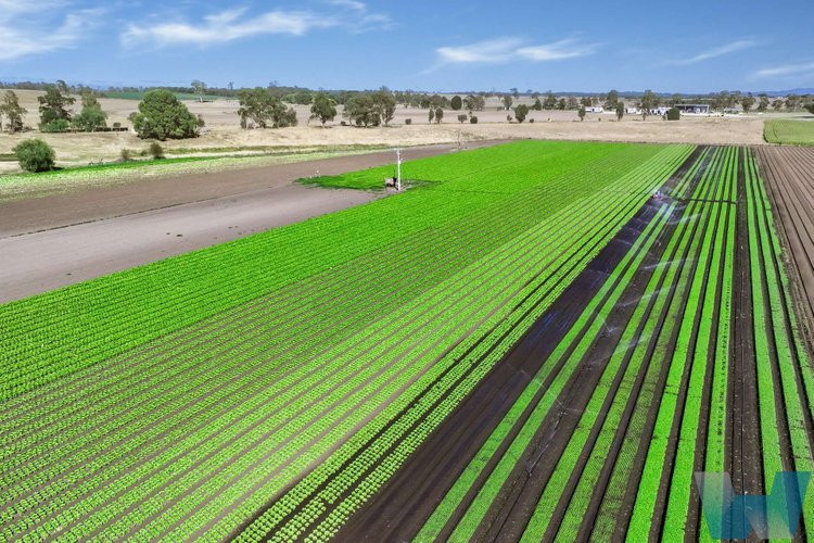 950 Bairnsdale - Dargo Road, Hillside