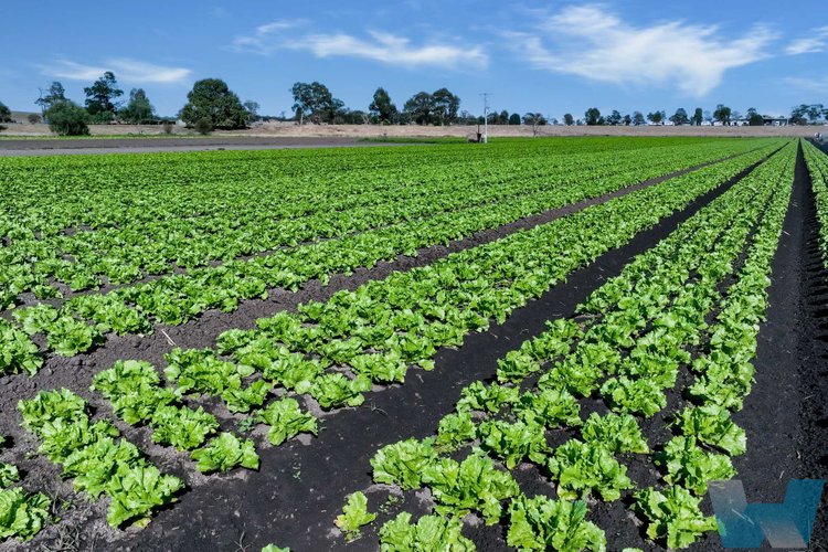 950 Bairnsdale - Dargo Road, Hillside