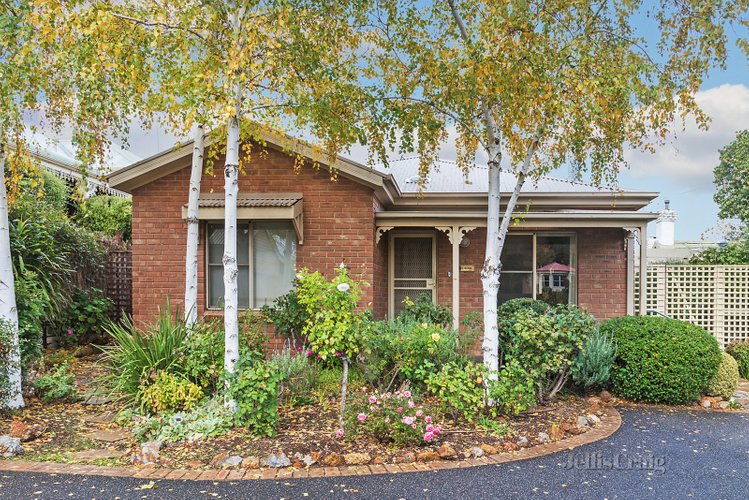 98B Lyttleton Street Castlemaine 3450