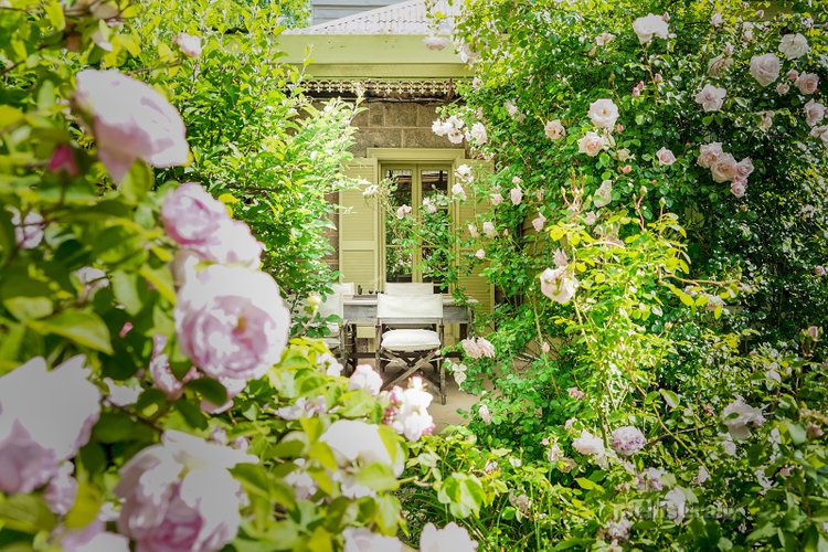 61 Thompsons Road Harcourt 3453