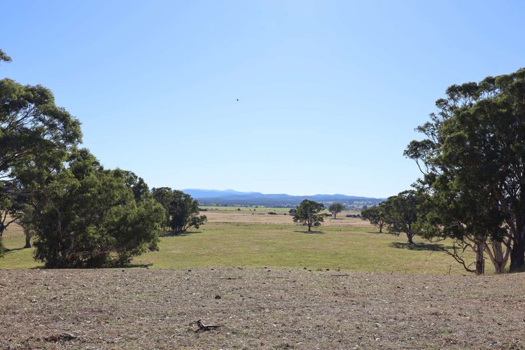 Lees Road, Briagolong