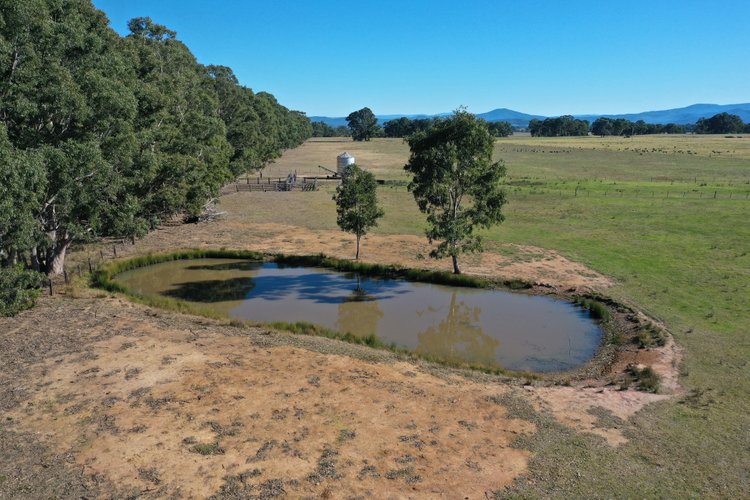 Lees Road, Briagolong