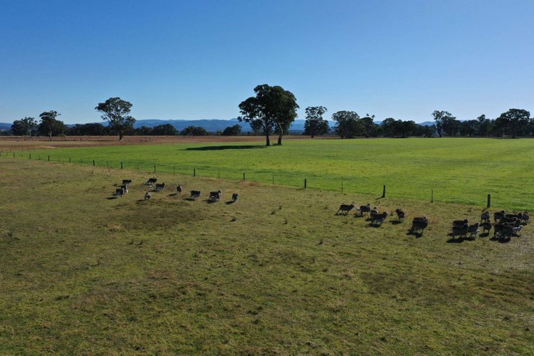 Lees Road, Briagolong