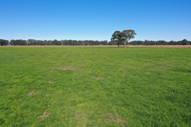 Lees Road, Briagolong