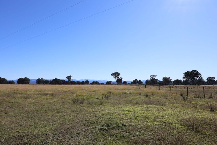 Lees Road, Briagolong