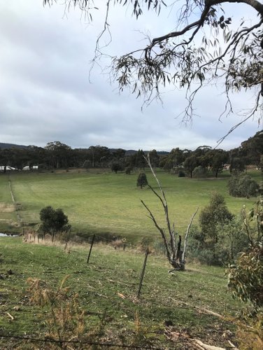 131 Carrs Road Barkers Creek 3451