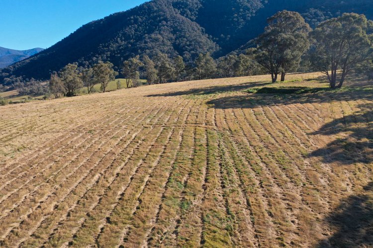 3L Wonnangatta Road, Dargo