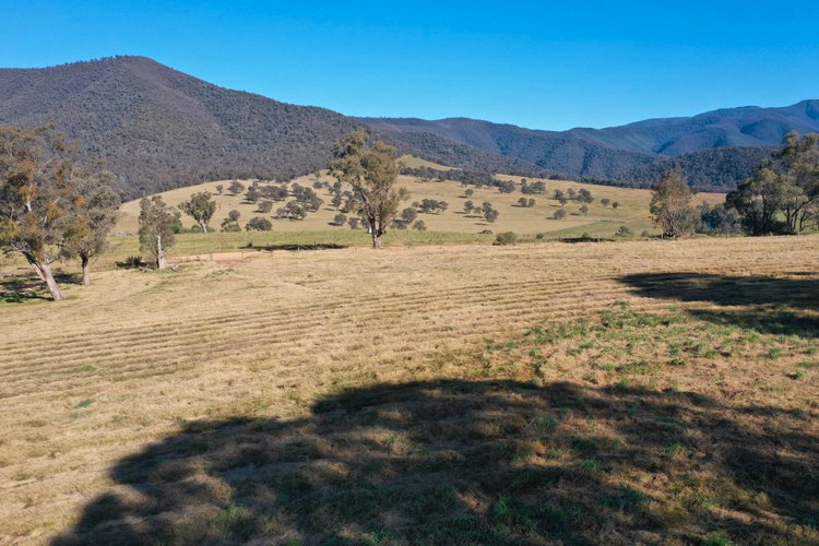 3L Wonnangatta Road, Dargo