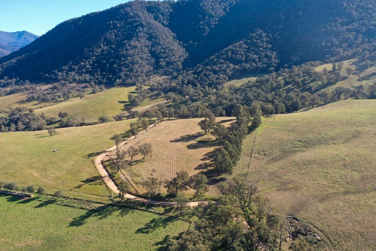 3L Wonnangatta Road, Dargo